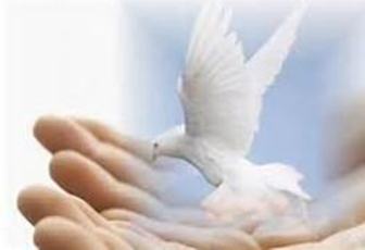 Dove of Peace : God Is Reconciled to Us : Peace with Go