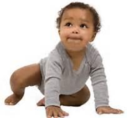 Baby Crawling : What Is the New Birth? : What Just Happened?